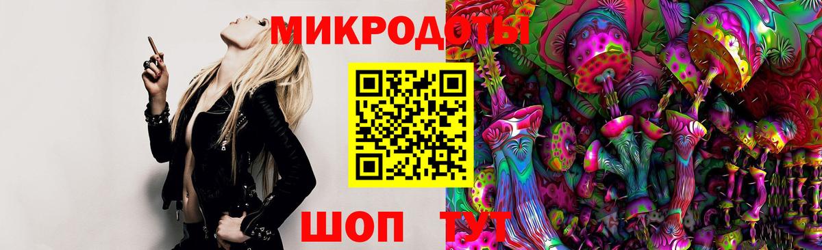 Галлюциногенные грибы Psilocybe Кубинка